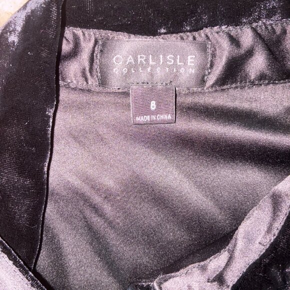 Carlisle Collection Silk & Velvet Burnout Blouse With Sparkle - Evening Sz 8 - Picture 11 of 11